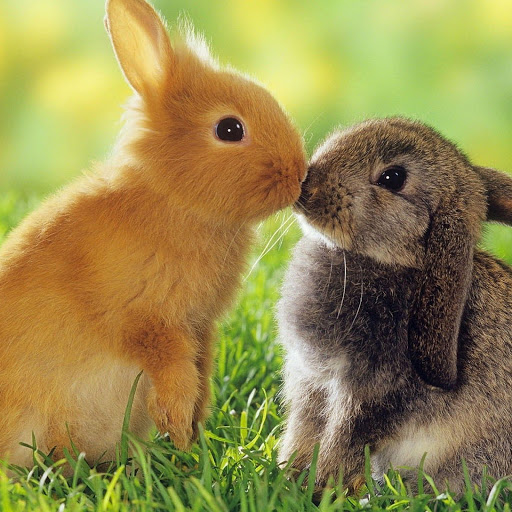 Hd-137807-ascw137807