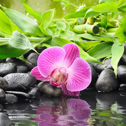 Hd-183295-ascw183295