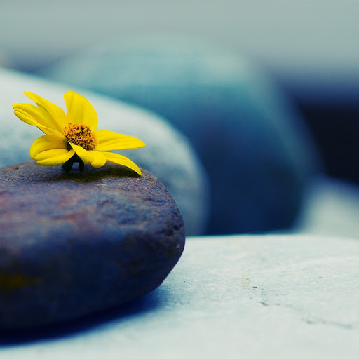 Hd-135730-ascw135730