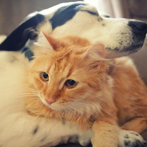 Hd-167579-ascw167579