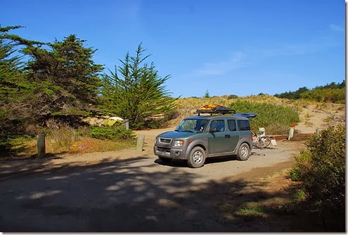 Bodega Dunes_028