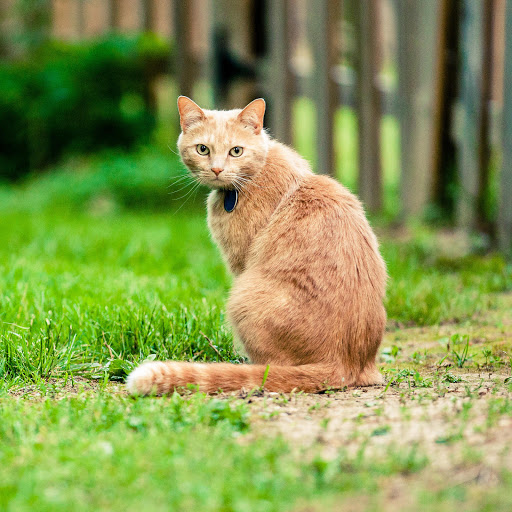 Hd-190564-ascw190564