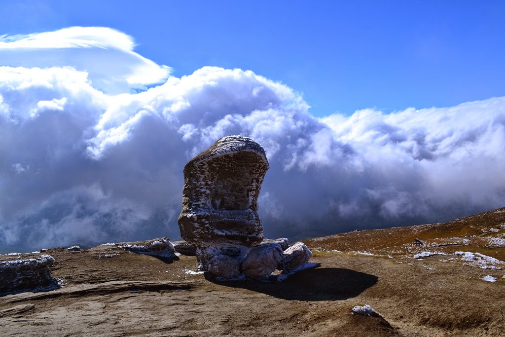 [DSC_18623.jpg]