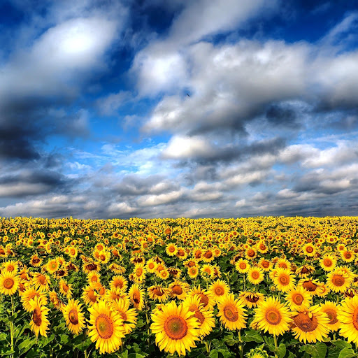 Hd-151530-ascw151530