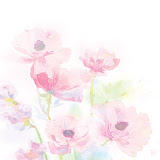 flores-09.jpg