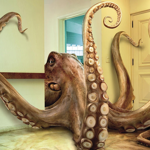 Hd-171209-ascw171209