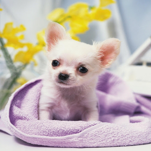 Hd-171653-ascw171653