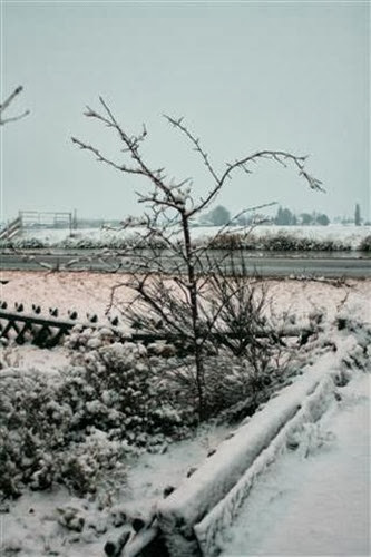 20091217 (3) (Small)