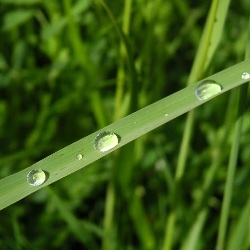 Hd-143433-ascw143433