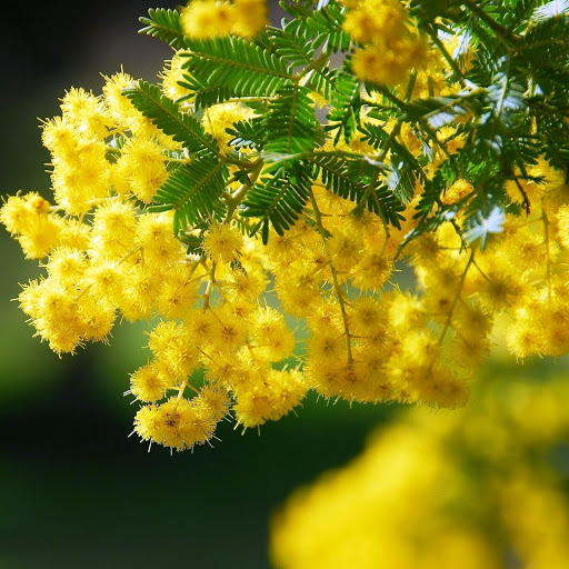 Hd-152236-ascw152236