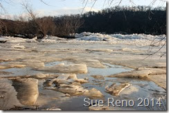 Susquehann River ice jam, by Sue Reno, Image 7