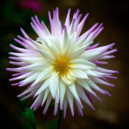 Hd-152449-ascw152449