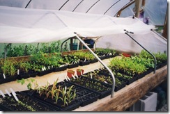 greenhouse 2a