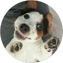 Mcl lz profile picture