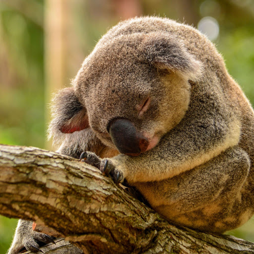 Hd-155968-ascw155968