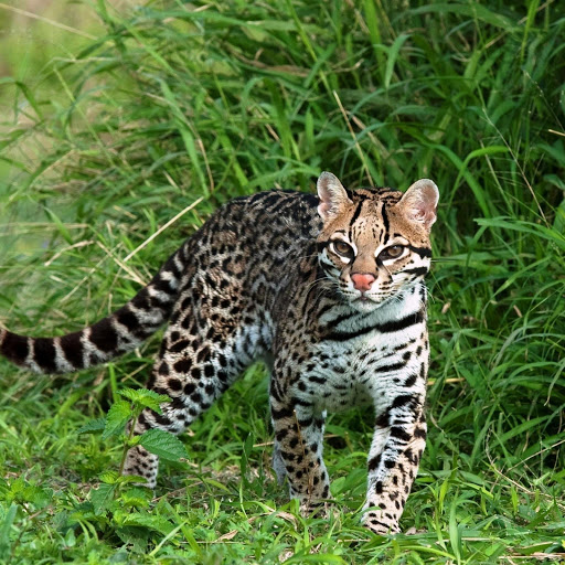 Hd-178179-ascw178179