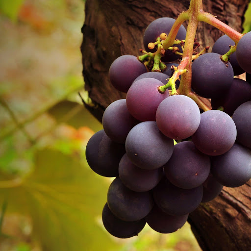 Hd-142384-ascw142384