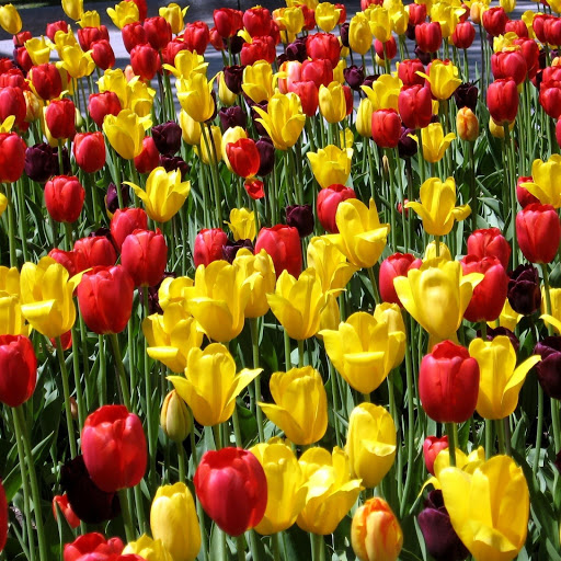 Hd-149205-ascw149205