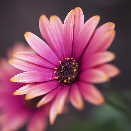 Hd-158730-ascw158730