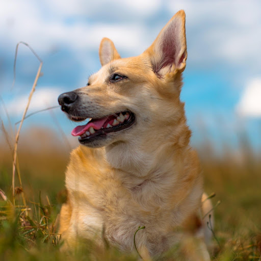 Hd-175858-ascw175858