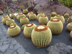 Lanzarote 2011 - - 028