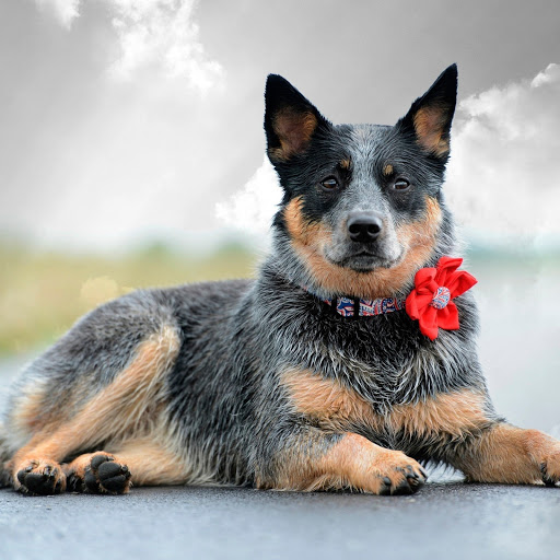 Hd-178540-ascw178540