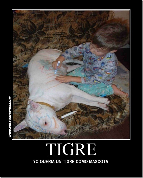 TIGRE COSASDVIERTIDAS 1