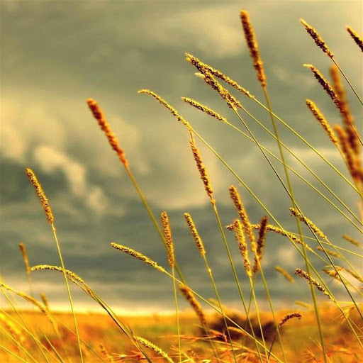 Hd-179343-ascw179343