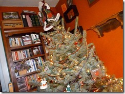 2011-12-19 decorating tree 020