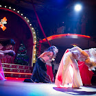 IMG_9642.jpg