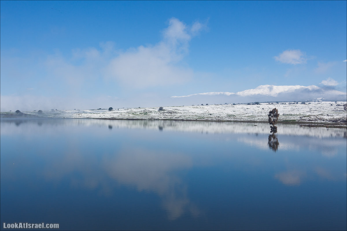 LookAtIsrael.com | Снег в Израиле, Голанские высоты и Галилея | Snow in Israel, Golan Heights and Galilee | שלג בישראל, רמת הגולן וגליל