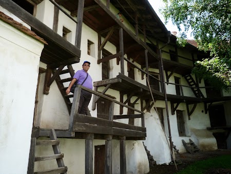 Fortificatii sasesti in Transilvania: locuinte Prejmer
