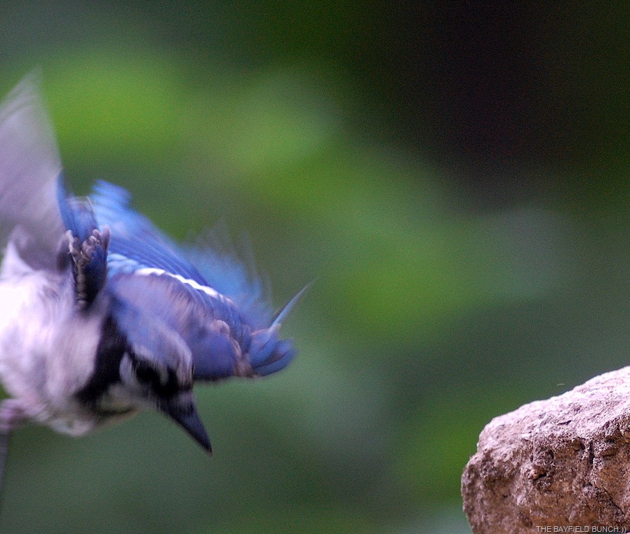 [DSC_2945%255B4%255D.jpg]