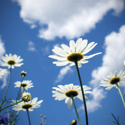 Hd-168331-ascw168331