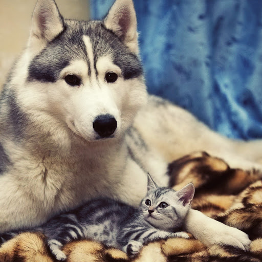 Hd-173597-ascw173597