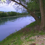 Vieux Rhône à Irigny en  aval réserve de Pierre-Bénite photo #995