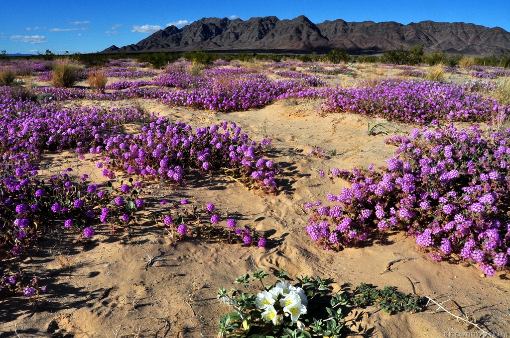 [DSC_0031%255B4%255D.jpg]