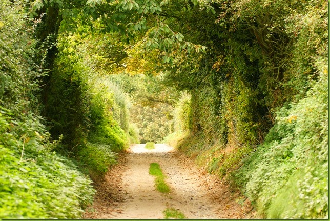 Norfolk coastal path Cromer to Sheringham