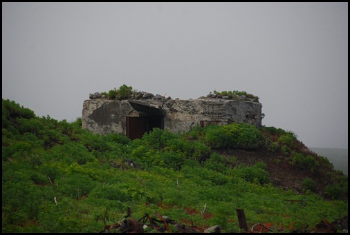 Japanese bunkers Matua