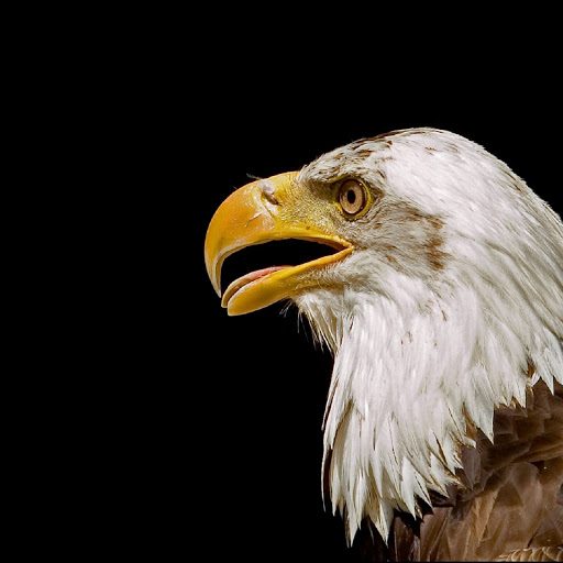 Hd-138304-ascw138304