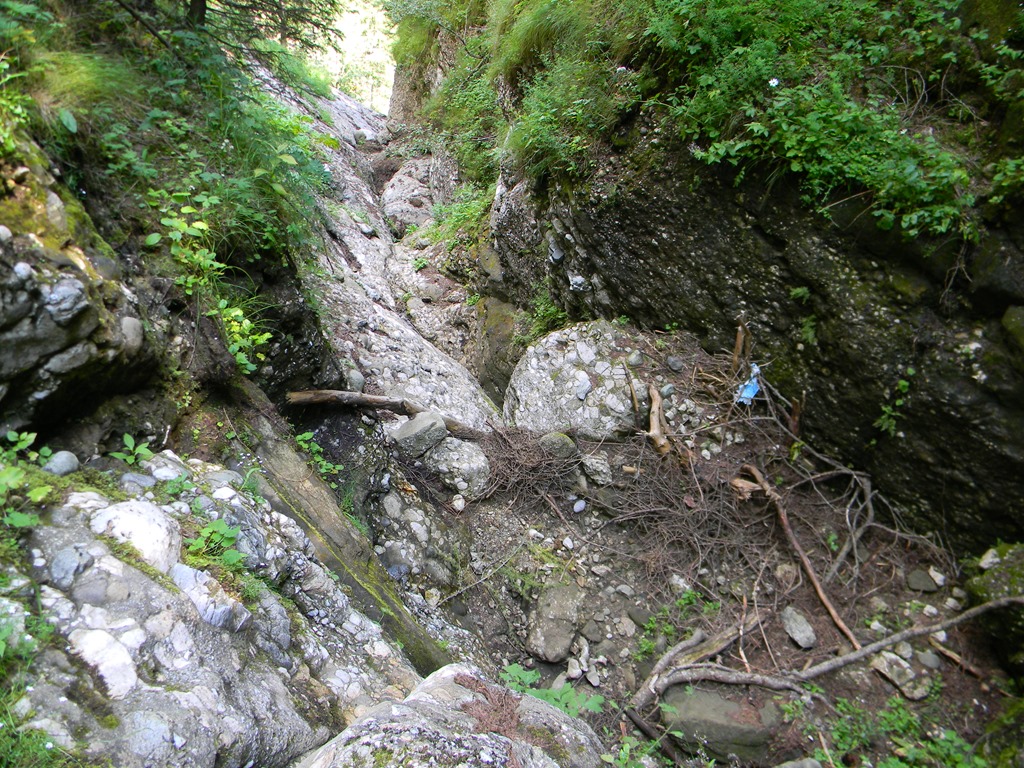 [DSCN34253.jpg]
