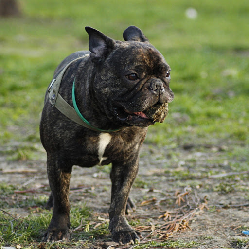 Hd-175861-ascw175861