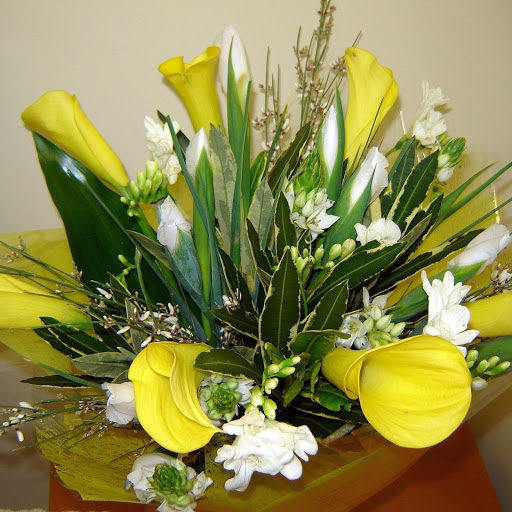 Hd-133063-ascw133063