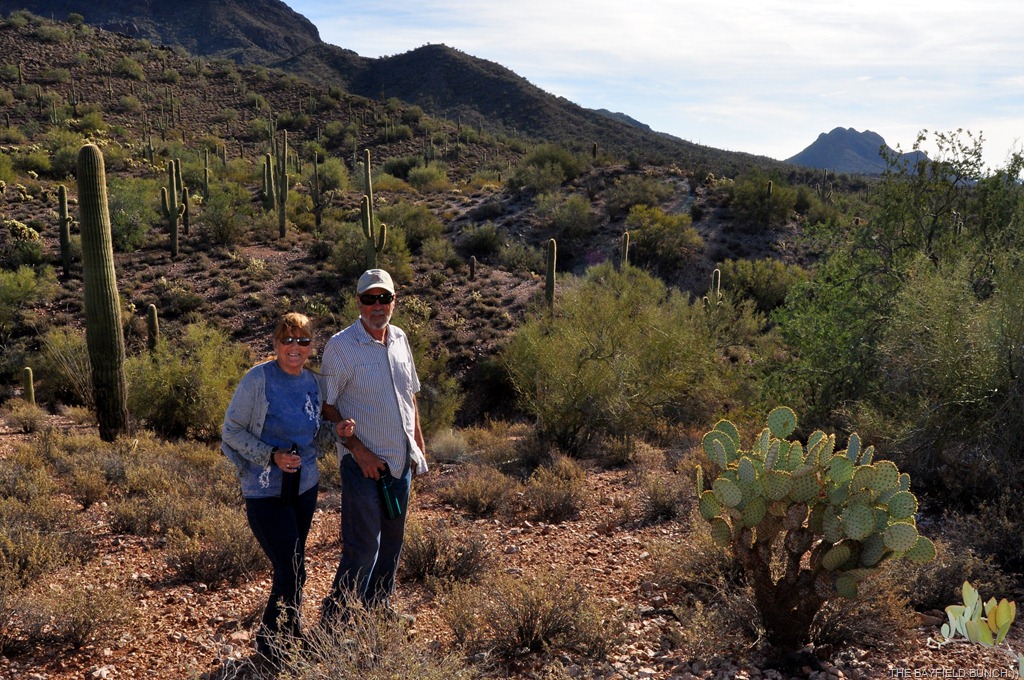 [DSC_0015%255B3%255D.jpg]