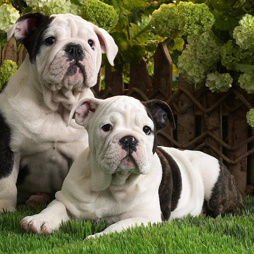 Hd-185299-ascw185299