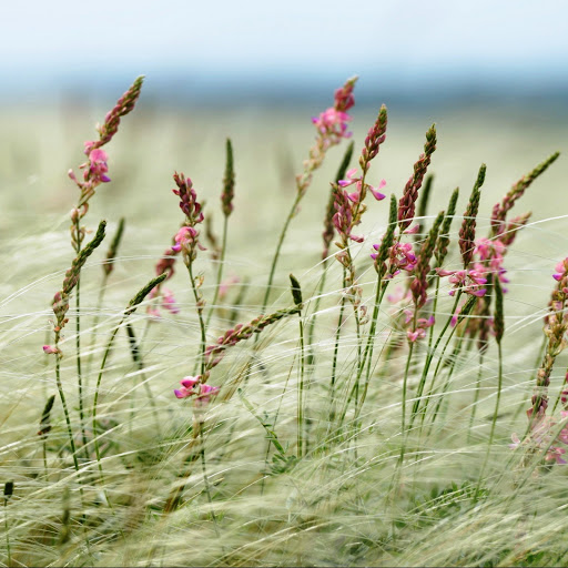 Hd-145930-ascw145930