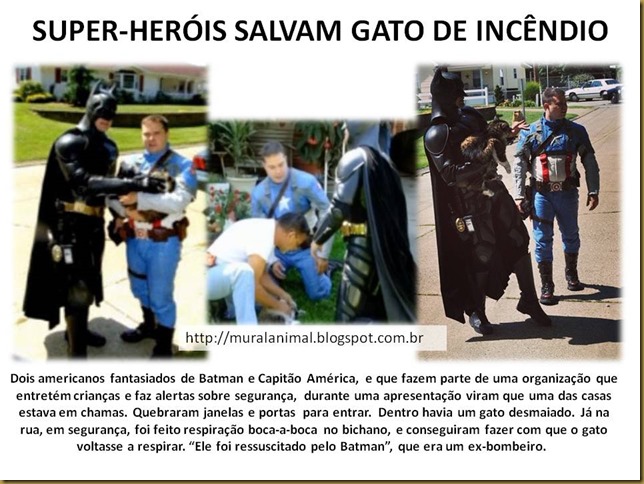SUPER-HERÓIS SALVAM GATO DE INCÊNDIO