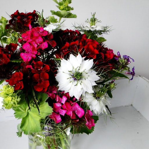 Hd-171801-ascw171801