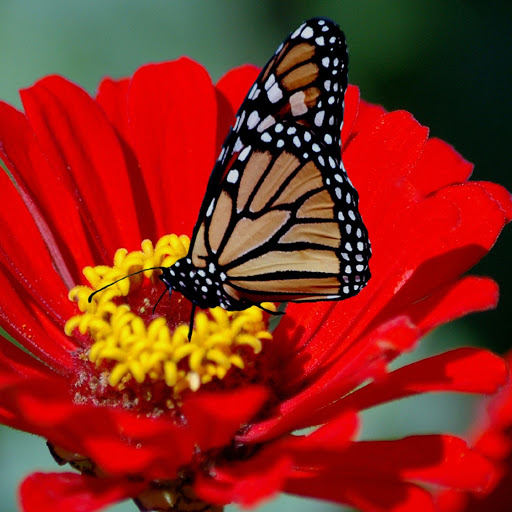 Hd-180395-ascw180395