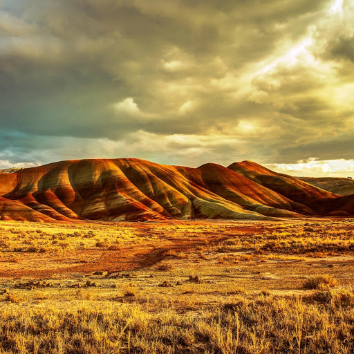 Hd-151513-ascw151513